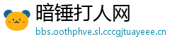 暗锤打人网